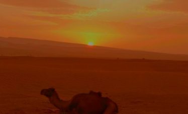 Desert Trekking in Morocco with Trek In Morocco.